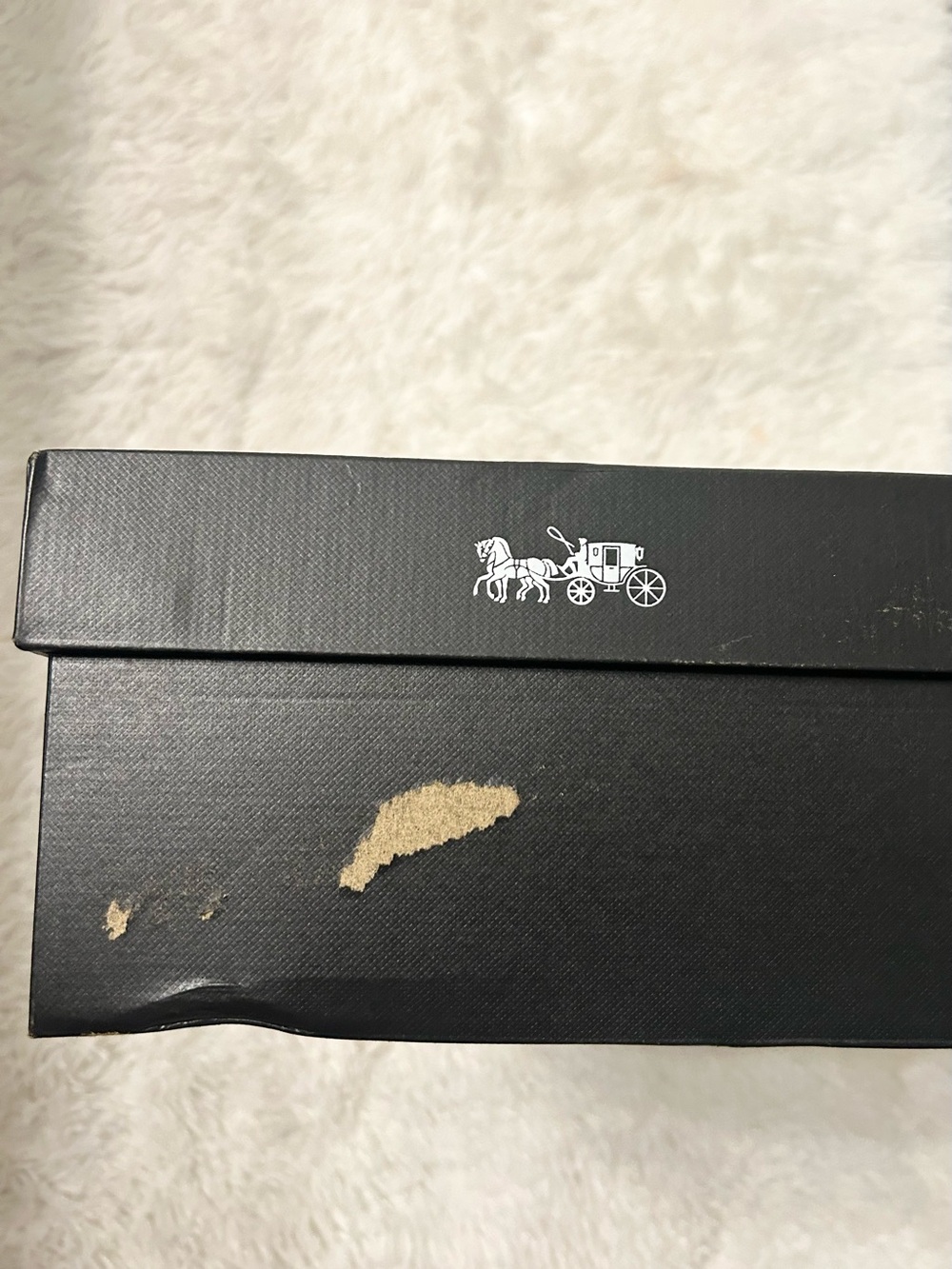 Coach Hadley Signature Logo Print Jacquard Clogs - Picture 15 of 15
